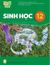 sinh