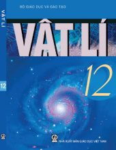 vat-li-12-309